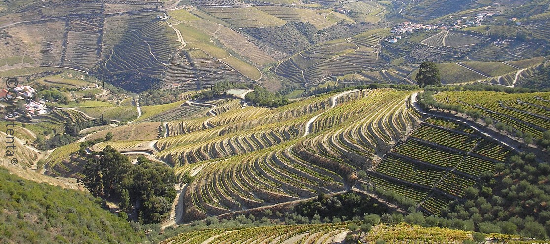 Douro